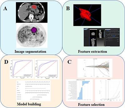 Radiomics in Gastric Cancer: First Clinical Investigation to Predict Lymph Vascular Invasion and Survival Outcome Using 18F-FDG PET/CT Images